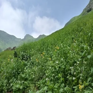 Foto de Lomas de Lucumo